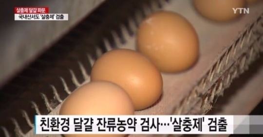 [사진=YTN 방송캡처]살충제 계란 파문