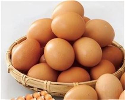 [살충제 계란 파동]닭고기·가공식품 '안전해' vs '위험해'…"불신 고조"