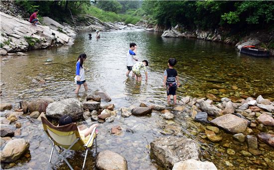 법흥계곡 남강캠프 아래 계곡에서 물놀이를 즐기는 아이들