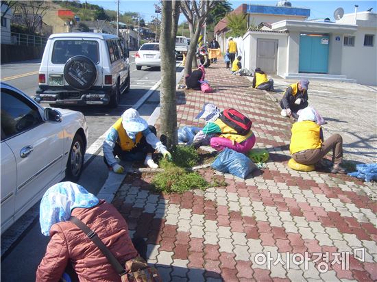 완도군, 노인일자리사업 확대 추진