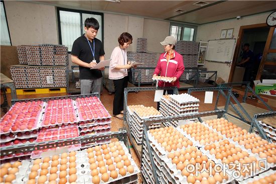 [포토]계란판매점 전수조사