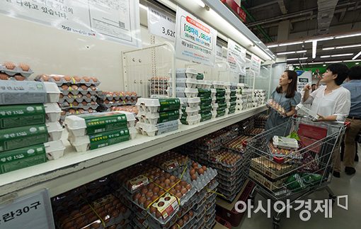 정부가 인증한 달걀을 판매하기로 결정한 16일 서울 서초구 양재하나로마트를 찾은 고객들이 달걀을 고르고 있다.
