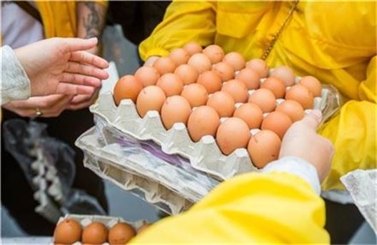 [살충제 계란 파동]소비자 불안 키우는 정부…"괜찮다던 손님들도 계란 빼달라네요"