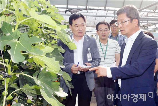 김갑섭 전라남도지사 권한대행,농업기술원과수연구소 방문