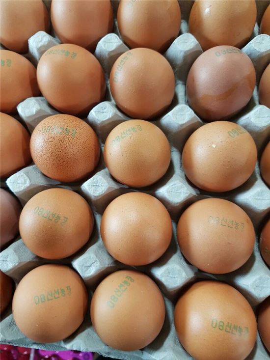[살충제 계란 파동]피프로닐 검출 농장 5곳 추가…부적합 29곳(상보)