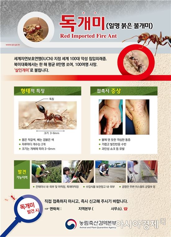 독개미 유입 경고…공항·항만 식물검역 강화