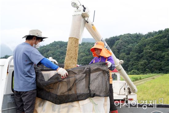 정부, 공공비축미 35만t 매입…우선지급금 한시 폐지