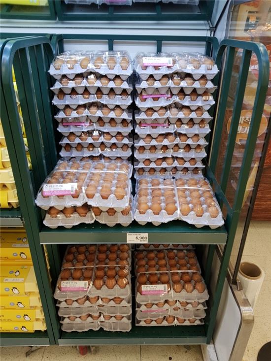 "한 알에 1000원?"…비싸도 건강한 계란 찾아 삼만리