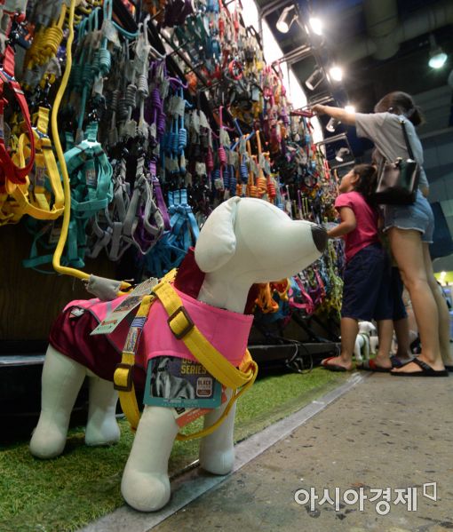 [포토]반려동물을 가족처럼~