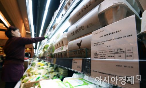친환경 산란계 농장서 '사용금지 농약' DDT 검출