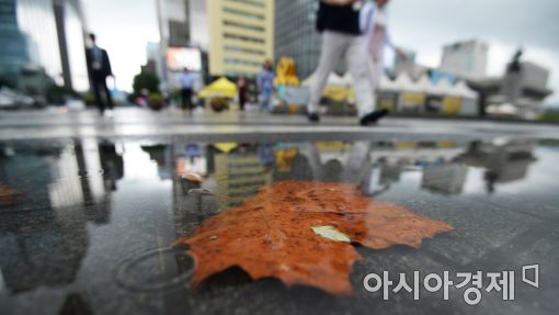 [포토]계절 흐름 바꾸는 비