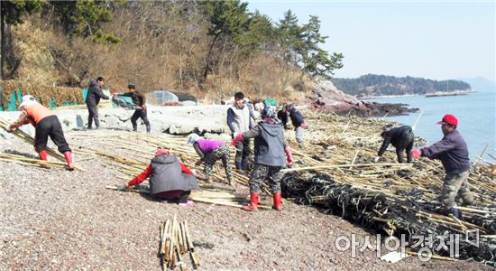 보성군, 새꼬막 채묘 폐자재 불법투기 집중단속