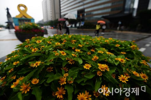[포토]계절 흐름 바꾸는 비