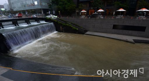 [포토]수위 높아진 청계천 산책로