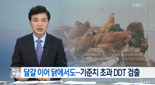 닭에서도 ‘DDT’ 발생…간암 및 기타 손상 일으킬수 있어? ‘시선 집중’