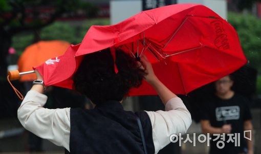 [포토]세찬 비바람에 소용없는 우산