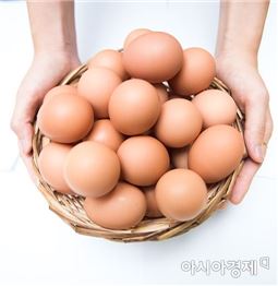 '계란할인·월말정산' 놓고 양계협-유통협 갈등