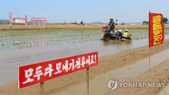 북한의 농장 모습(사진=연합뉴스)