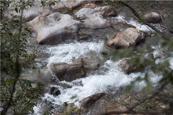 [조문환의 지리산별곡 15] 순례길에서 서산대사와 손잡다