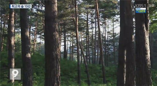 '최고의 숲' 10선/사진=KBS 캡처