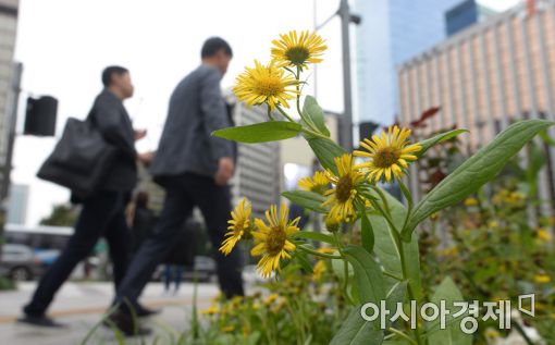[포토]8월에 부는 선선한 가을 바람