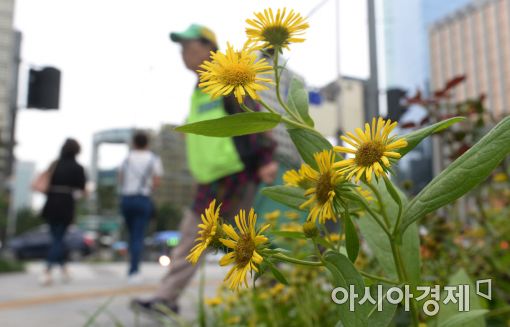 9일 토요일 전국 맑아…낮 최고 31도