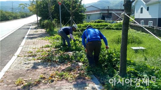고창군, 주요 도로변 일제 정비