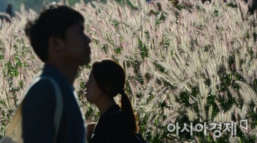 [포토]'가을이 왔어요'