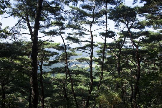 [조문환의 지리산별곡 16] 운봉고원에서 자유로운 영혼이 되다