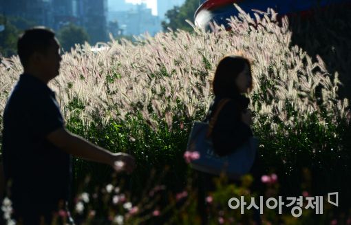 [포토]성큼 다가온 가을