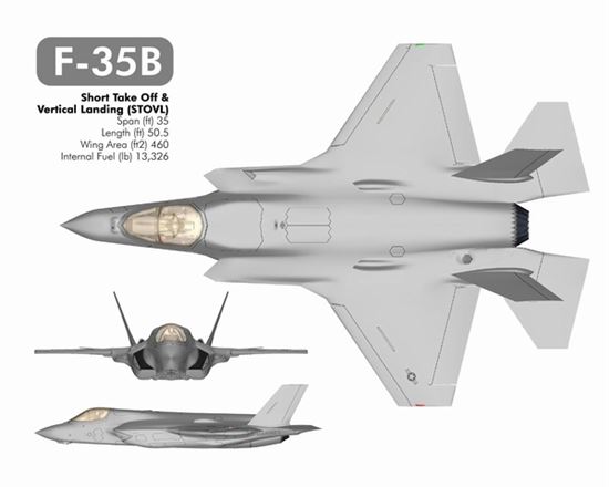 [전투기 자소서]①'죽음의 백조'와 함께 난 F-35B는 육·해·공 멀티플레이어? 