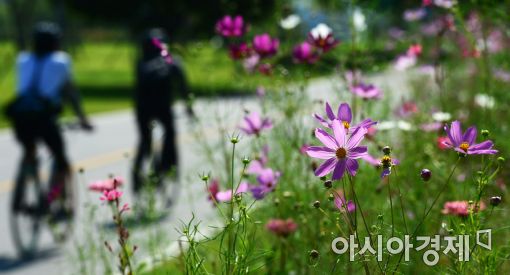 [포토]자전거 타기 좋은 날