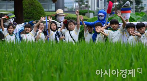 “흰 이슬 맺히는 날” 백로, 농사 잠시 쉬고 추수 기다리는 때