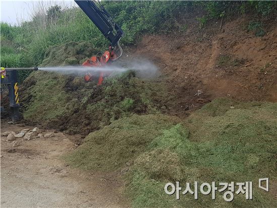 장성군 ‘잔디 메카’ 명성 이어간다