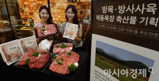 [포토]'제주 청정지역에서 키운 한우와 토종닭 드세요'