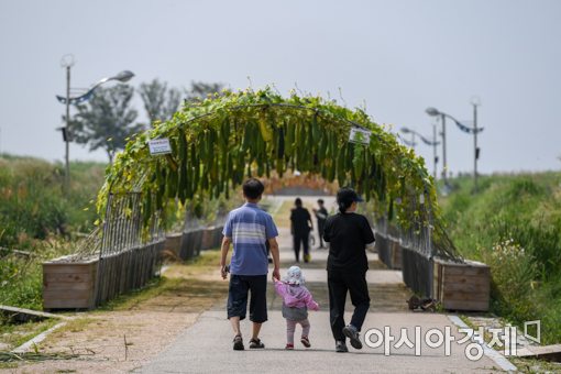 [포토]가을의 정취 만끽하는 시민들