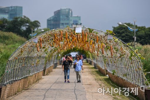 [포토]절기상 '백로' 가을 정취 만끽하는 시민들