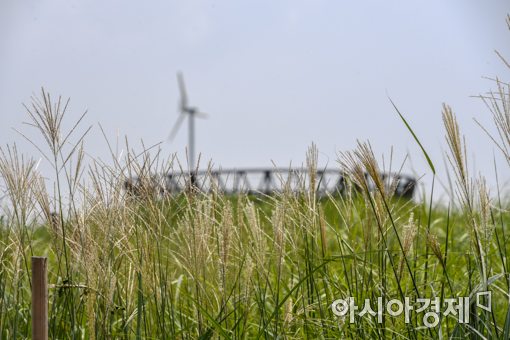 [포토]가을이 오는 소리