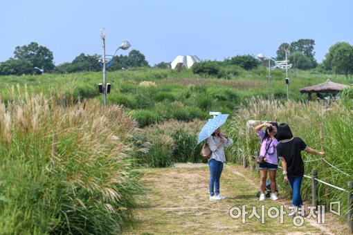 [포토]성큼 다가온 가을