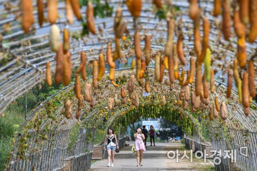 [포토]한국 가을 정취 만끽하는 외국인 관광객