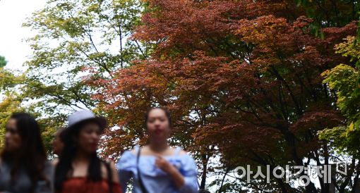 [포토]단풍의 계절이 돌아왔다