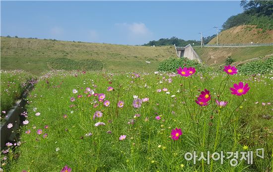 보성군, ‘꽃세상’으로 디자인하다 