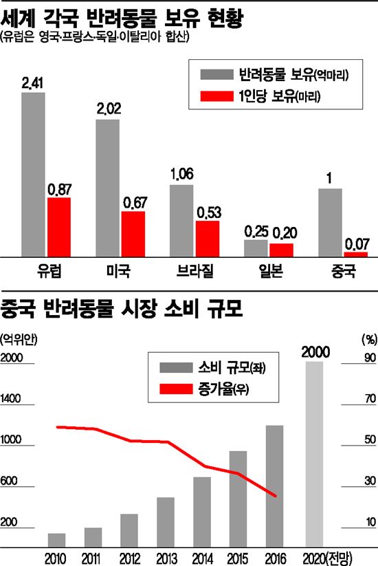 [G2는 지금]'펫코노미' 눈 뜬 중국, 애완견과 인공지능 만나다