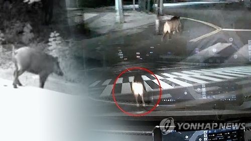 (사진=연합뉴스)