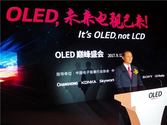 LG디스플레이, "내년 OLED TV 패널 250만대 생산"