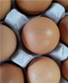 식약처, '맑은 계란(08 계림)'서도 살충제 성분 검출  