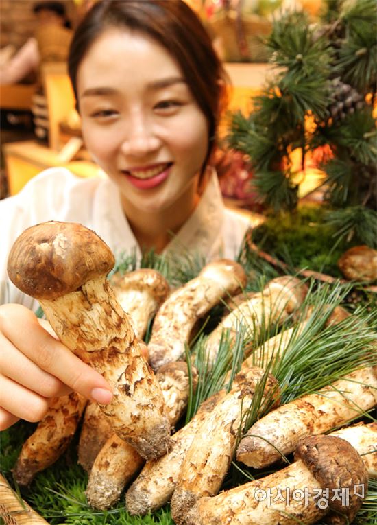 [포토]현대百, 올해 첫 수확 자연송이 판매