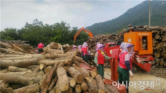 곡성군, 숲가꾸기 산물활용으로 1석 2조 효과