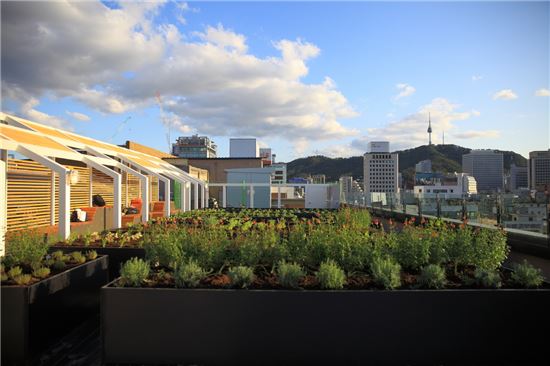 결실맺은 서울시 도시재생… 세운상가 50년만에 재탄생(종합)