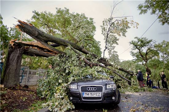 17일(현지시간) 돌풍이 불어닥친 루마니아 티미소아라에서 쓰러진 나무에 자동차가 깔려있다. (사진출처=AP연합)